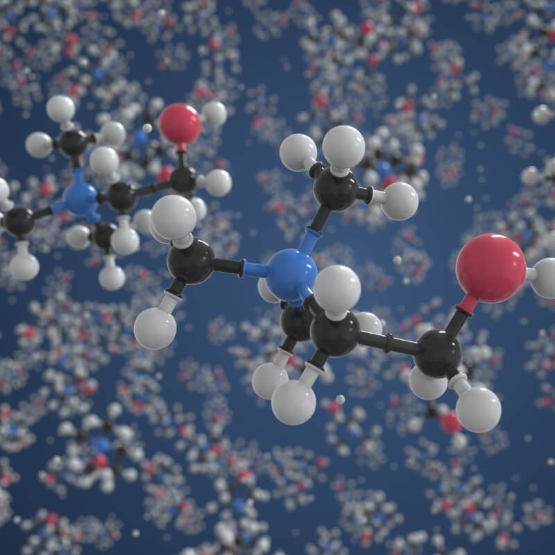 Actif : la choline