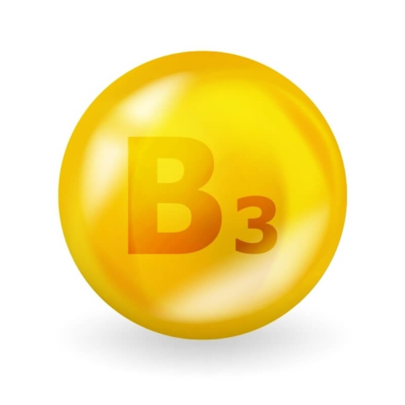 Actif : la vitamine B3
