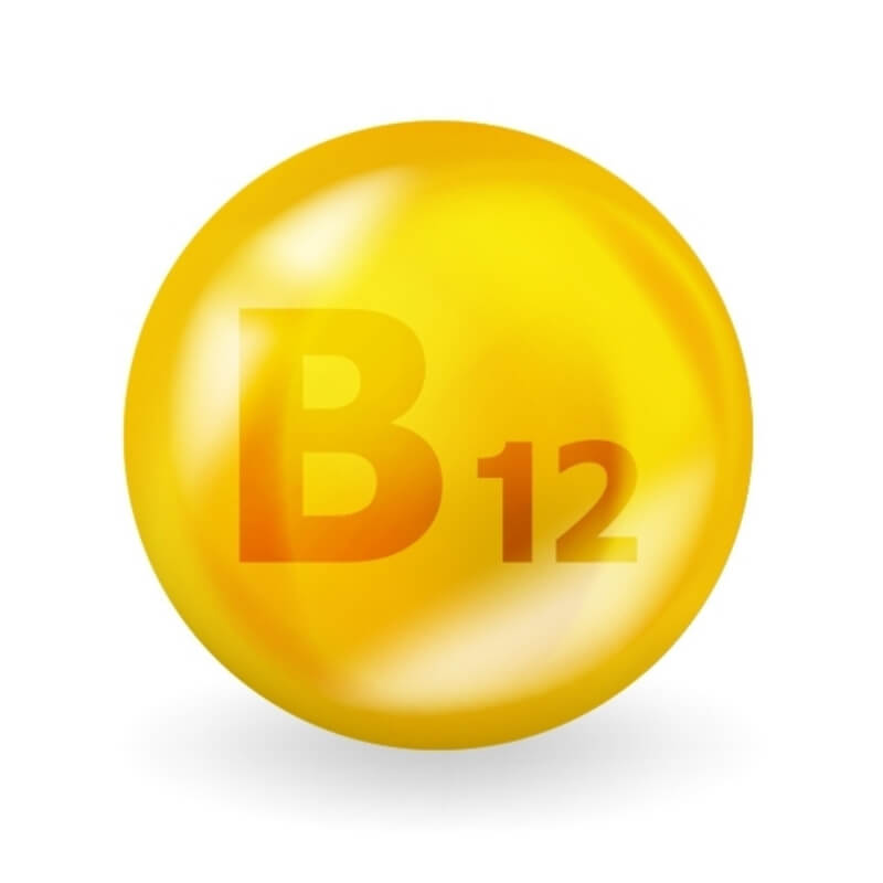 Actif : la vitamine B12