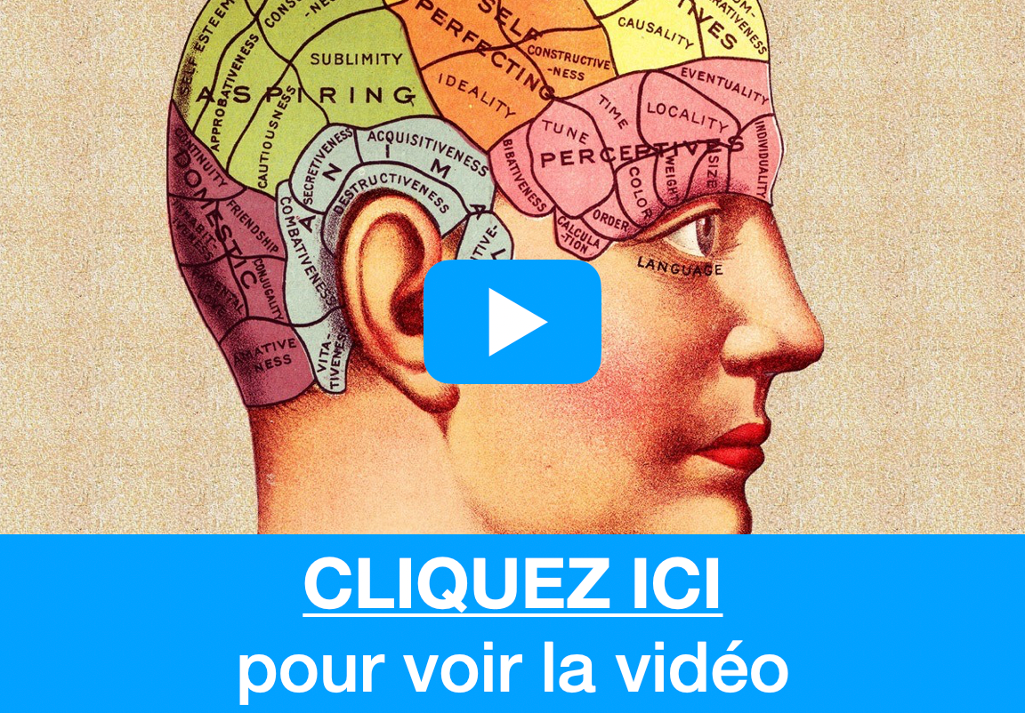 video cerveau